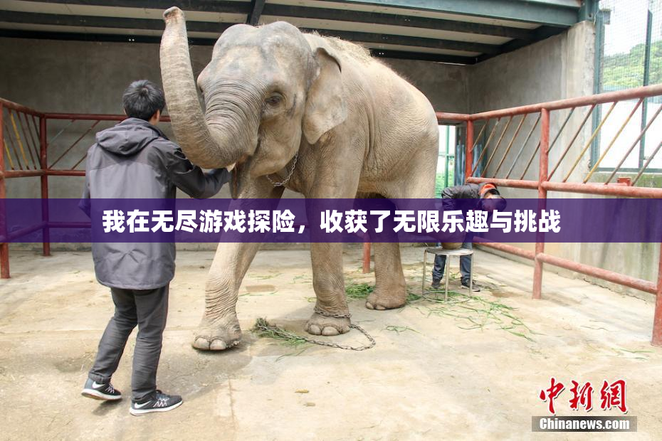 我在无尽游戏探险，收获了无限乐趣与挑战
