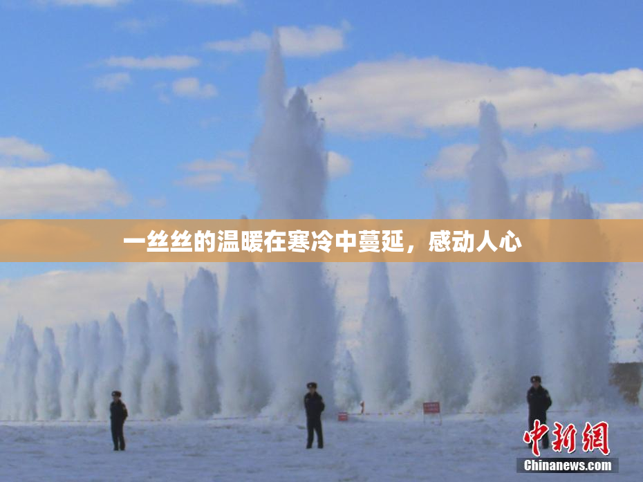 一丝丝的温暖在寒冷中蔓延，感动人心