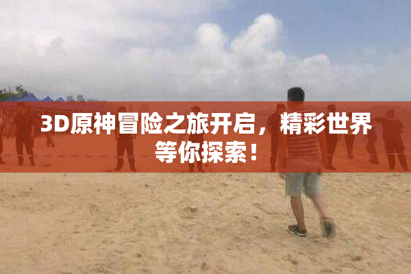 3D原神冒险之旅开启，精彩世界等你探索！