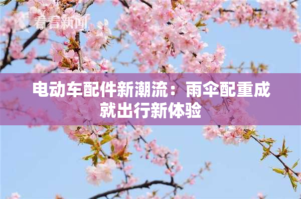 电动车配件新潮流：雨伞配重成就出行新体验
