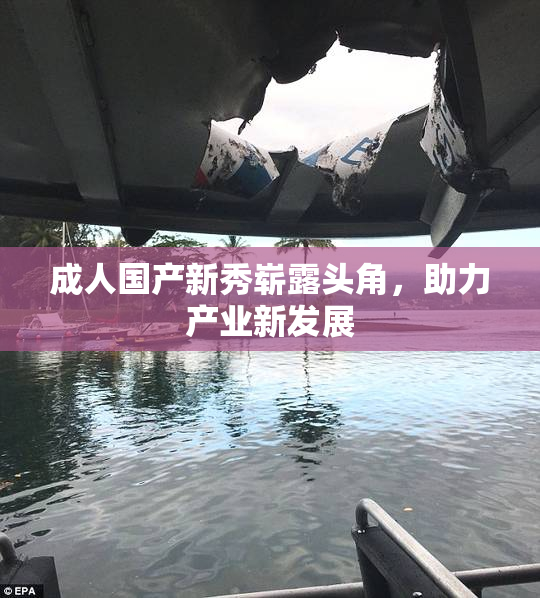 成人国产新秀崭露头角，助力产业新发展