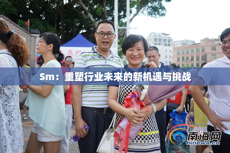 Sm：重塑行业未来的新机遇与挑战
