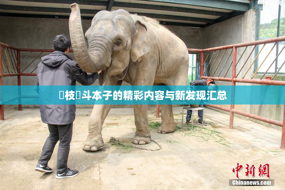 狛枝凪斗本子的精彩内容与新发现汇总