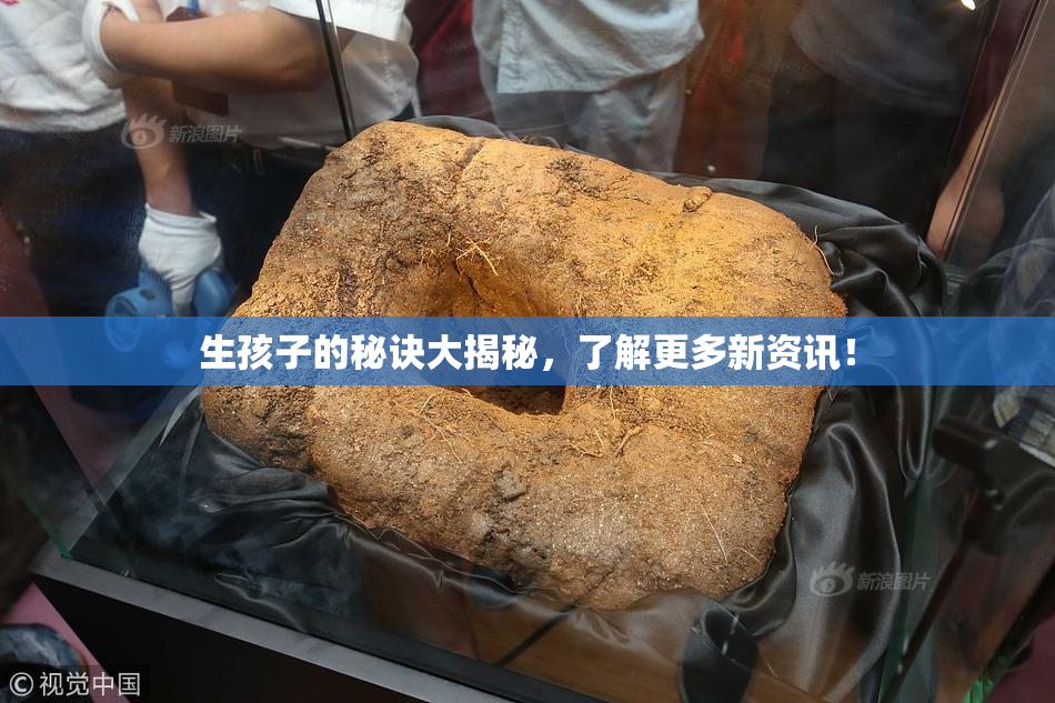 生孩子的秘诀大揭秘，了解更多新资讯！