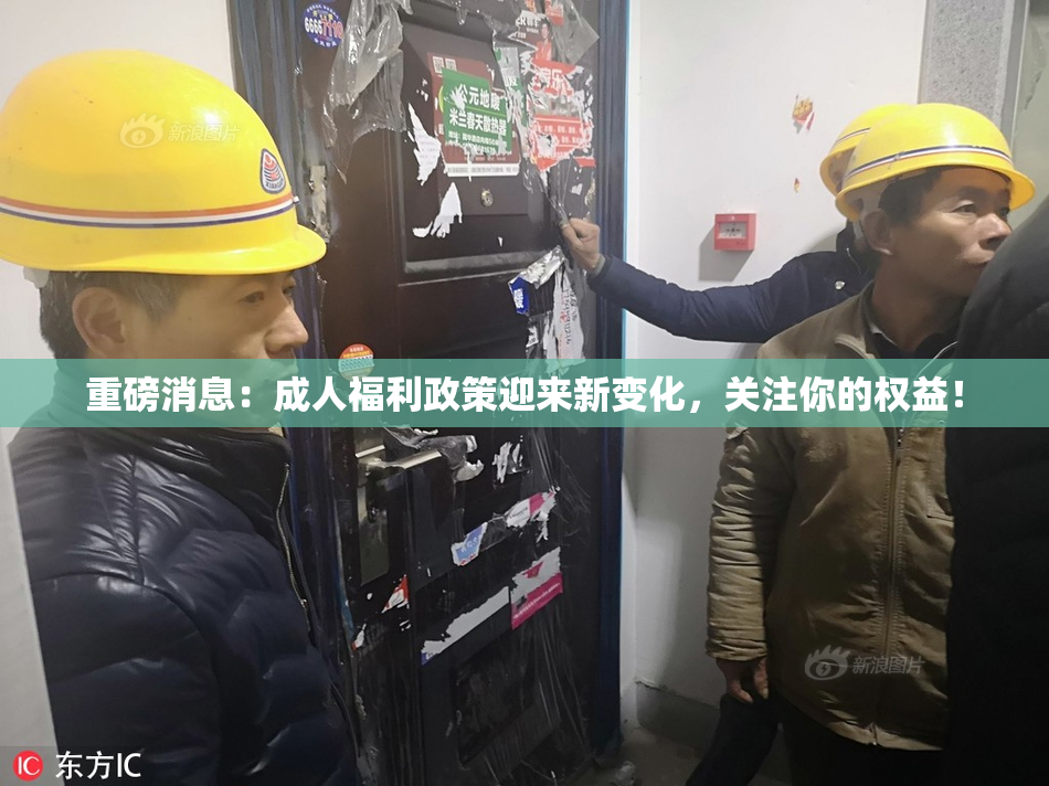 重磅消息：成人福利政策迎来新变化，关注你的权益！