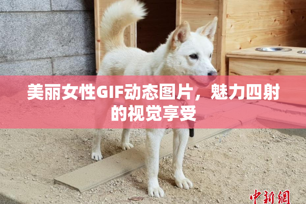 美丽女性GIF动态图片，魅力四射的视觉享受