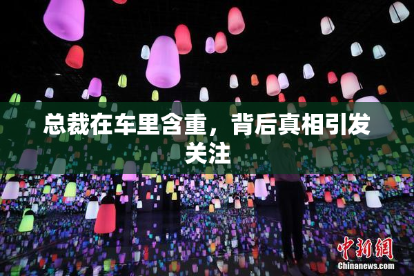 总裁在车里含重，背后真相引发关注