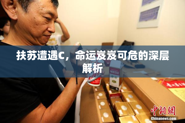 扶苏遭遇C，命运岌岌可危的深层解析