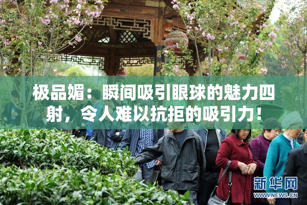 极品媚：瞬间吸引眼球的魅力四射，令人难以抗拒的吸引力！
