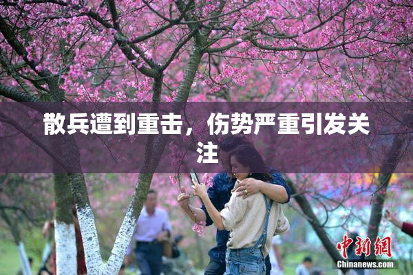 散兵遭到重击，伤势严重引发关注