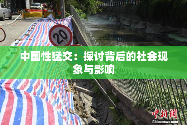 中国性猛交：探讨背后的社会现象与影响