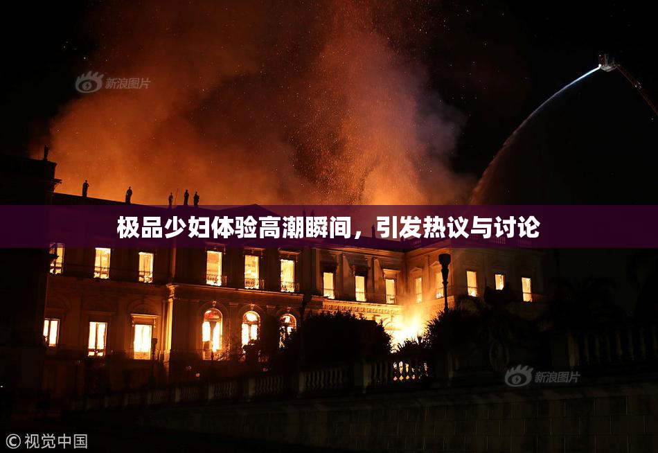 极品少妇体验高潮瞬间，引发热议与讨论