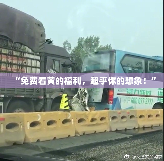“免费看黄的福利，超乎你的想象！”