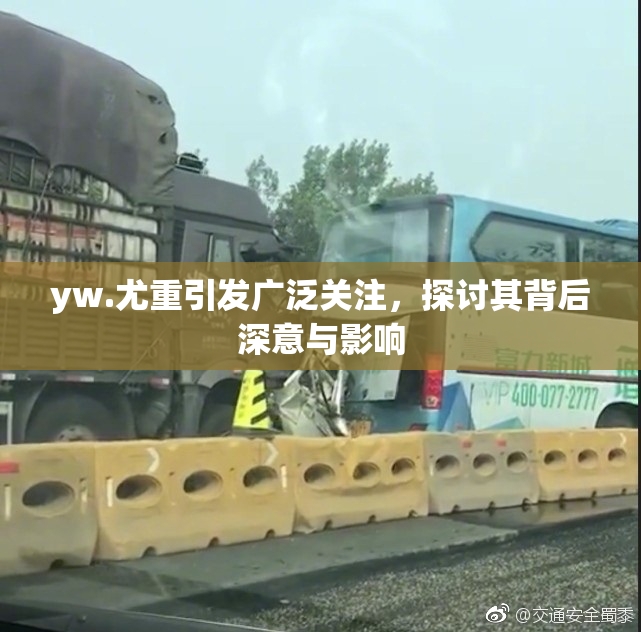 yw.尤重引发广泛关注，探讨其背后深意与影响