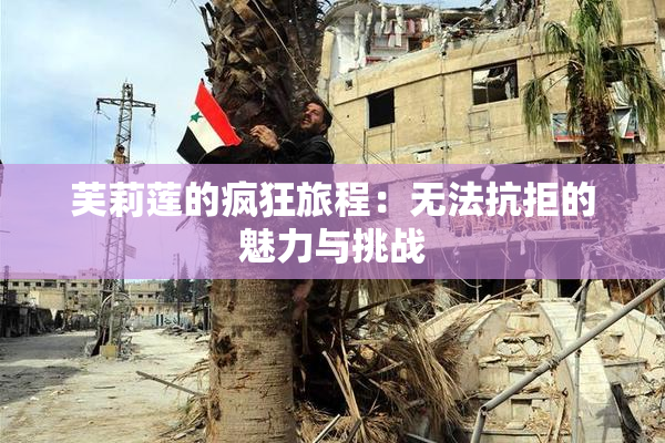 芙莉莲的疯狂旅程：无法抗拒的魅力与挑战
