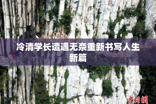 冷清学长遭遇无奈重新书写人生新篇
