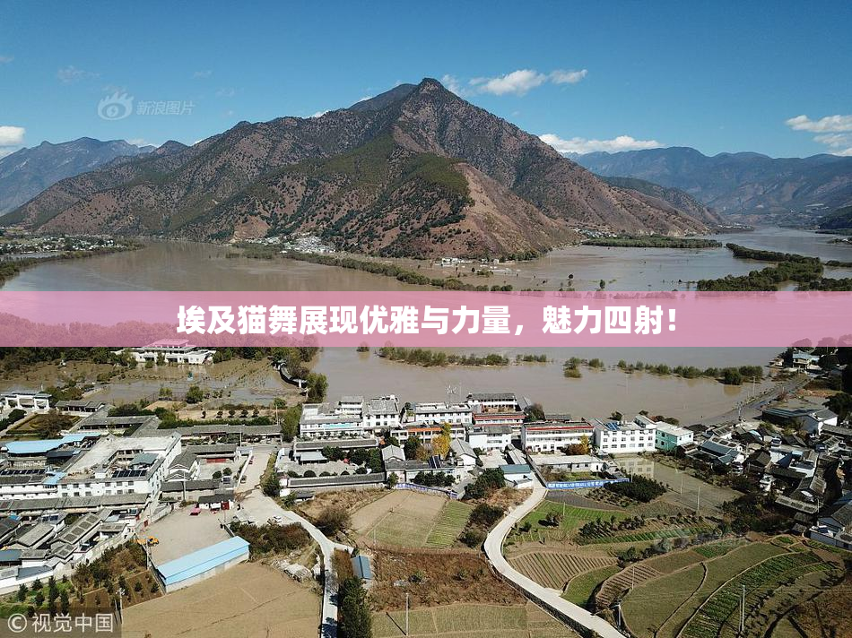 埃及猫舞展现优雅与力量，魅力四射！