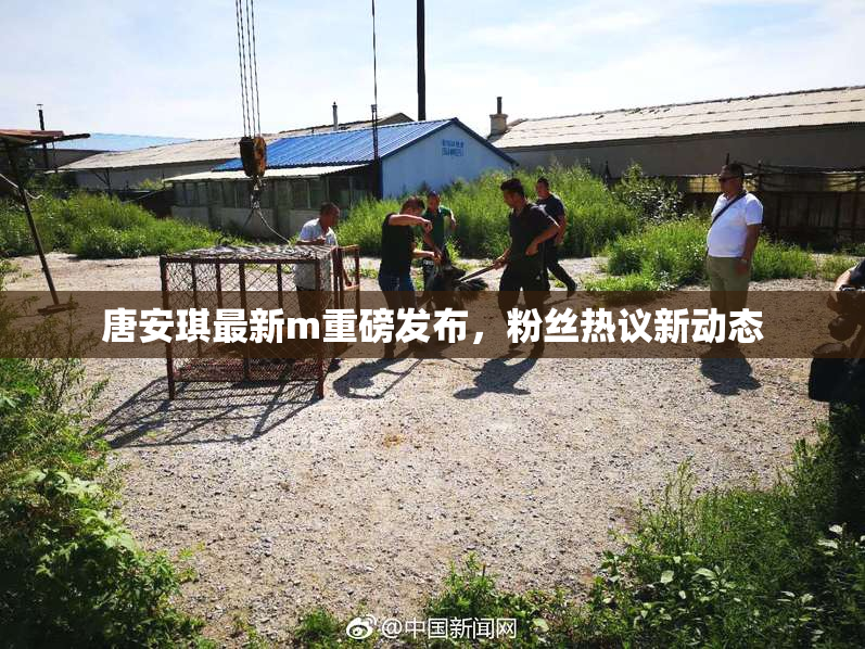 唐安琪最新m重磅发布，粉丝热议新动态
