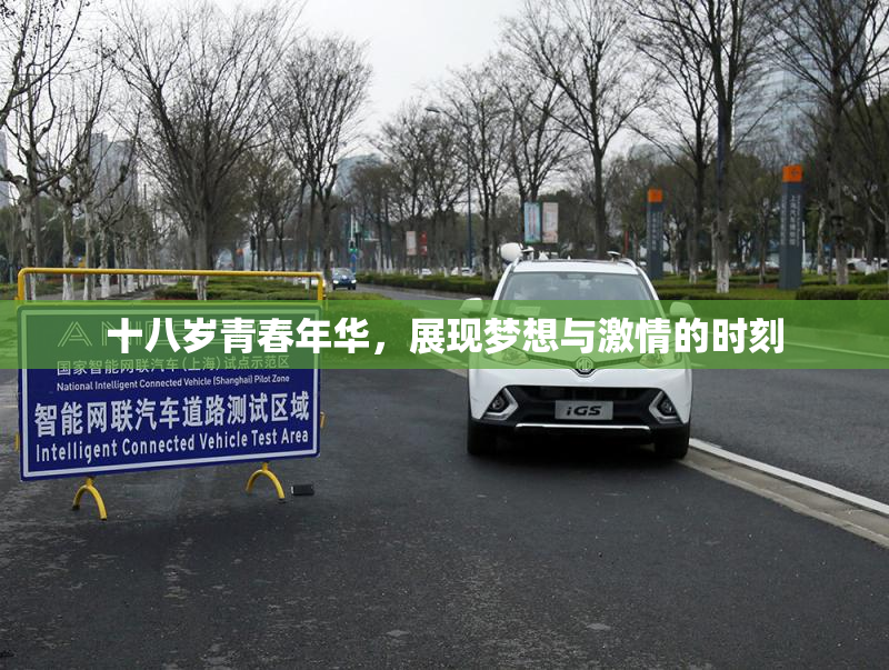 十八岁青春年华，展现梦想与激情的时刻