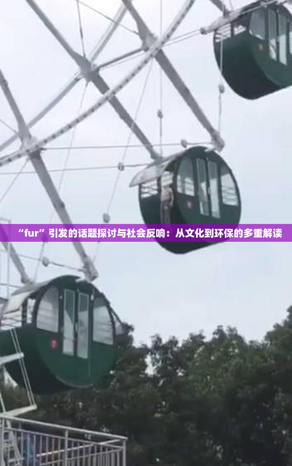 “fur”引发的话题探讨与社会反响：从文化到环保的多重解读