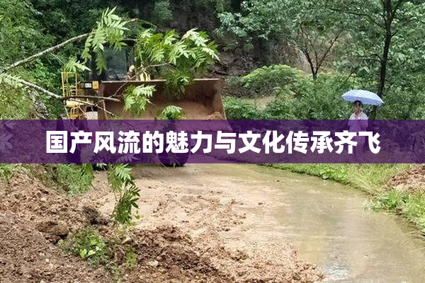 国产风流的魅力与文化传承齐飞