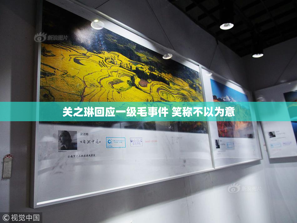 关之琳回应一级毛事件 笑称不以为意