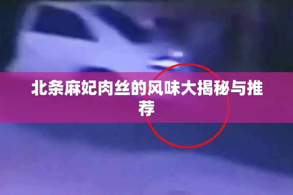 北条麻妃肉丝的风味大揭秘与推荐