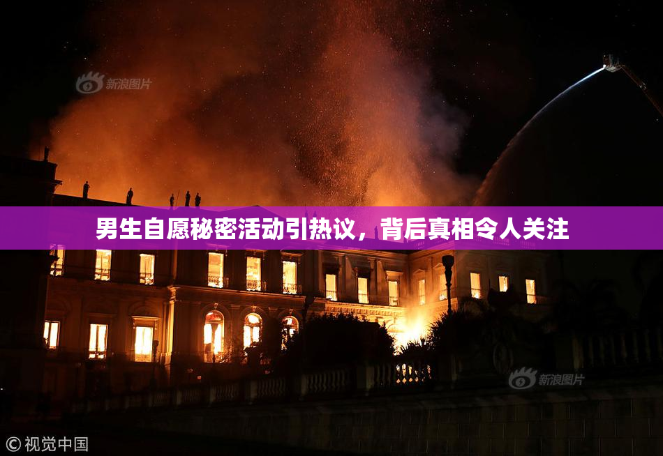 男生自愿秘密活动引热议，背后真相令人关注