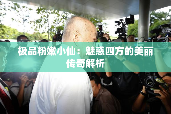 极品粉嫩小仙：魅惑四方的美丽传奇解析
