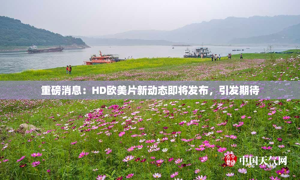 重磅消息：HD欧美片新动态即将发布，引发期待