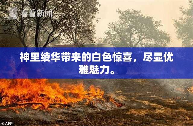 神里绫华带来的白色惊喜，尽显优雅魅力。