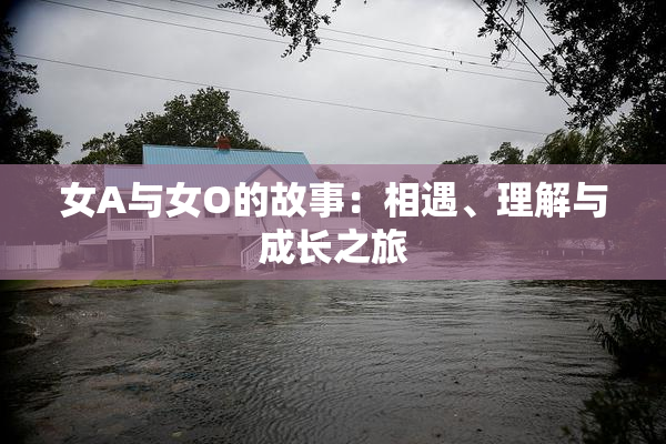 女A与女O的故事：相遇、理解与成长之旅