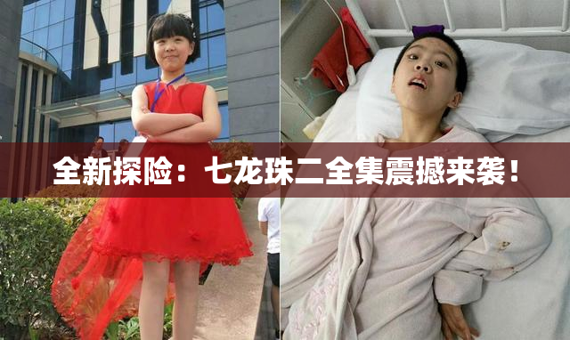 全新探险：七龙珠二全集震撼来袭！