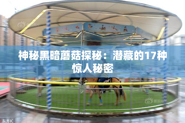 神秘黑暗蘑菇探秘：潜藏的17种惊人秘密