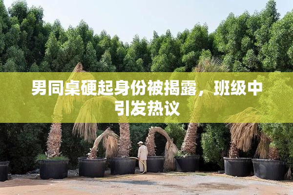 男同桌硬起身份被揭露，班级中引发热议