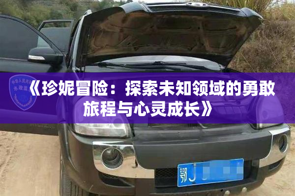 《珍妮冒险：探索未知领域的勇敢旅程与心灵成长》