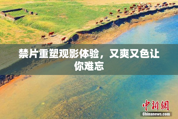 禁片重塑观影体验，又爽又色让你难忘