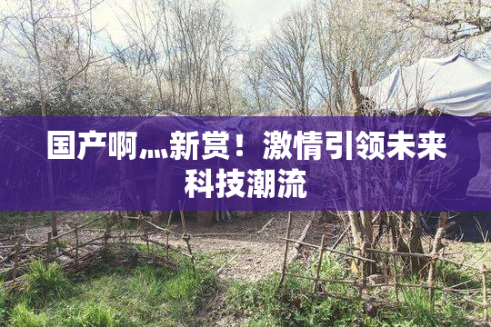 国产啊灬新赏！激情引领未来科技潮流