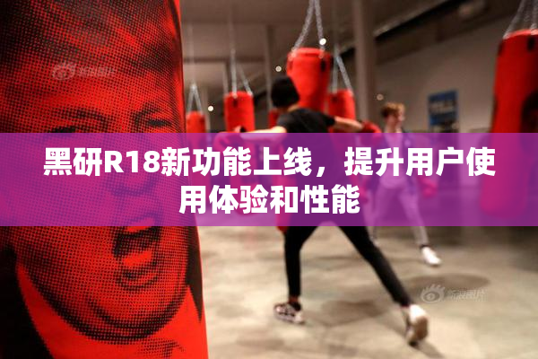 黑研R18新功能上线，提升用户使用体验和性能