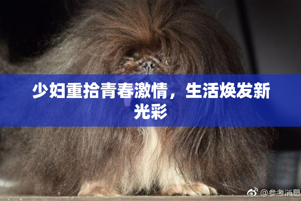 少妇重拾青春激情，生活焕发新光彩