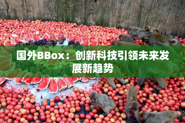国外BBox：创新科技引领未来发展新趋势