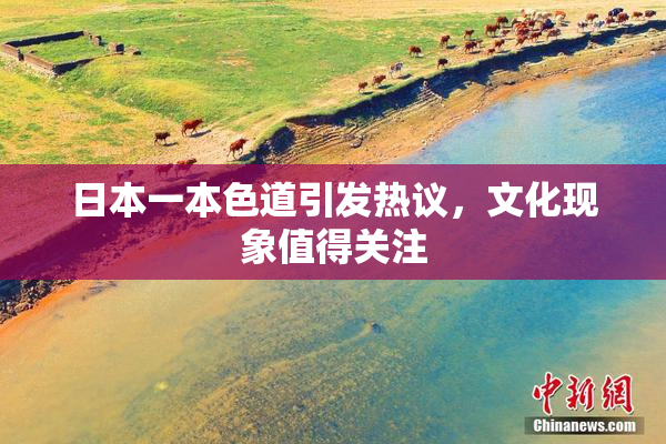 日本一本色道引发热议，文化现象值得关注