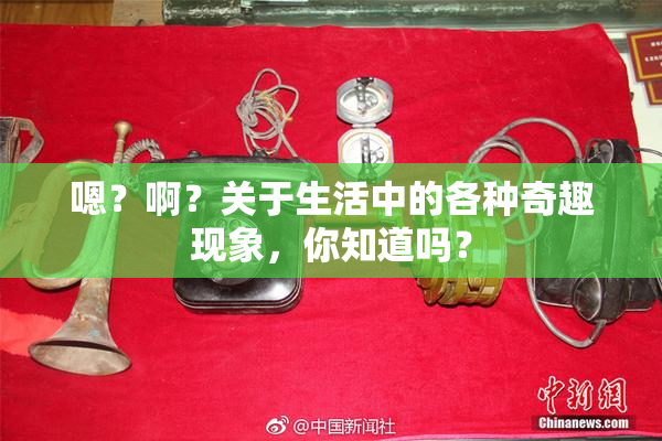 嗯？啊？关于生活中的各种奇趣现象，你知道吗？