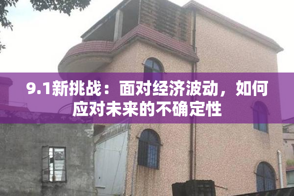 9.1新挑战：面对经济波动，如何应对未来的不确定性