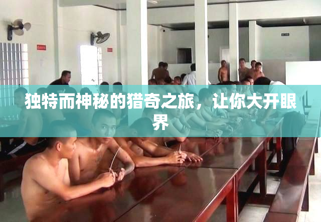 独特而神秘的猎奇之旅，让你大开眼界
