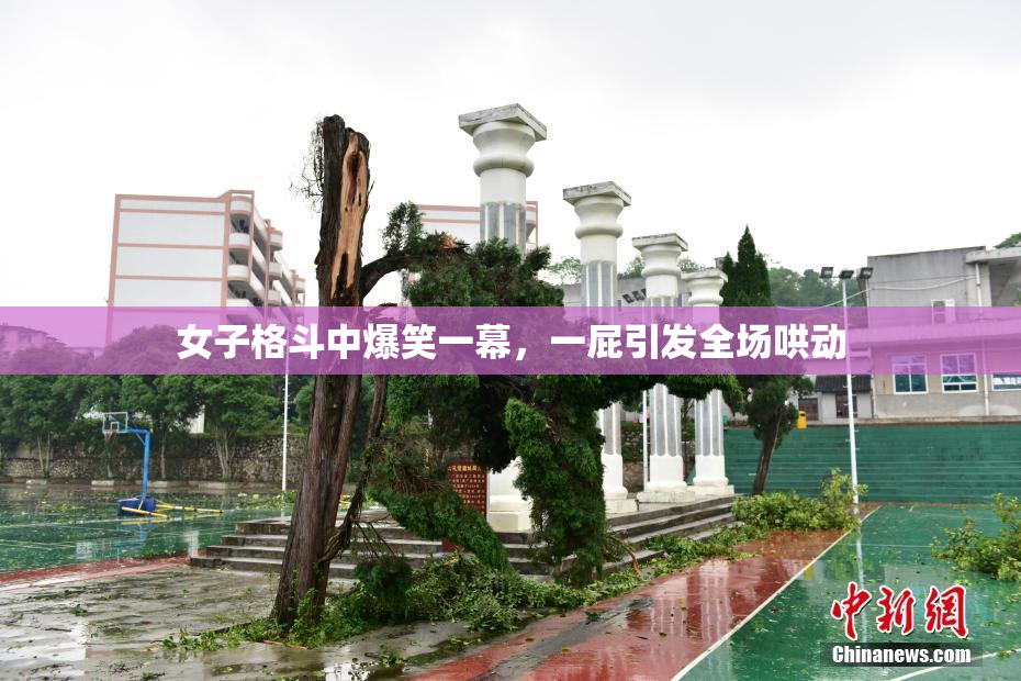 女子格斗中爆笑一幕，一屁引发全场哄动