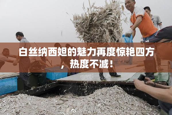 白丝纳西妲的魅力再度惊艳四方，热度不减！