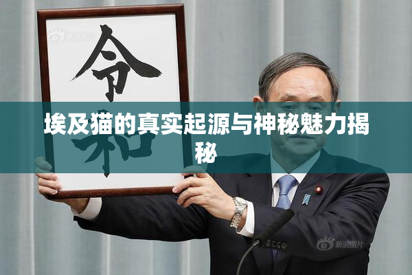 埃及猫的真实起源与神秘魅力揭秘
