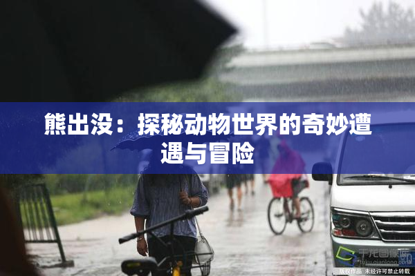 熊出没：探秘动物世界的奇妙遭遇与冒险