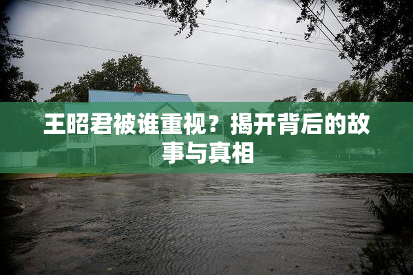 王昭君被谁重视？揭开背后的故事与真相